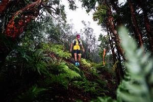 BIB: 
                            <button type="button" onclick="openModal(26205593)" class="btn btn-primary btn-sm float-right btn-popup" data-toggle="modal" data-target=".modal-high-quality">
                        <i class="fas fa-shopping-cart"></i> Add to Cart
                    </button>
                                            <button type="button" onclick="isThisMe(26205593, true)" class="btn btn-success btn-sm float-right btn-popup btn-isme hidden" data-toggle="tooltip" data-placement="bottom" title="นี่คือรูปของคุณใช่ไหม คลิกที่นี่เพื่อเอาเข้าอัลบั้ม">
                        <i class="fas fa-plus"></i> Add to album
                    </button>
                    <button type="button" onclick="isThisMe(26205593, false)" class="btn btn-warning btn-sm float-right btn-popup btn-isnotme hidden">
                        <i class="fas fa-ban"></i> Remove from album
                    </button>